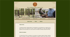 Desktop Screenshot of cabalceta.com